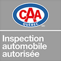 CAA_LogoVInspection