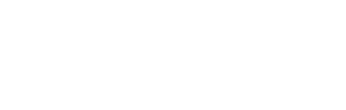 Flexiti_Logo